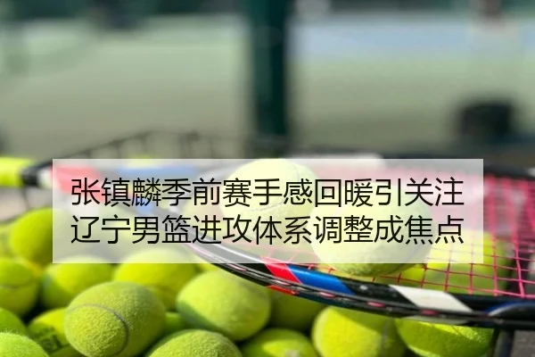 张镇麟季前赛手感回暖引关注 辽宁男篮进攻体系调整成焦点