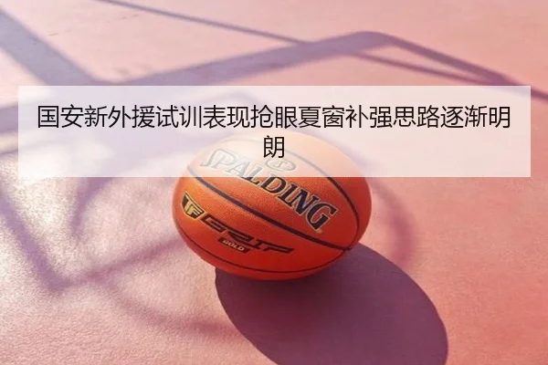 国安新外援试训表现抢眼夏窗补强思路逐渐明朗