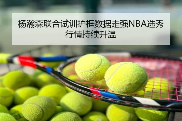 杨瀚森联合试训护框数据走强NBA选秀行情持续升温